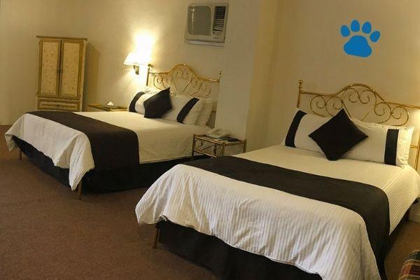 Best Western Ferrat Temuco Kültér fotó